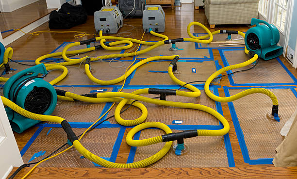 Professional Structural Drying And Dehumidification technician working in Greensboro, NC